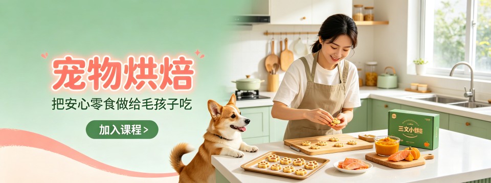 上海宠物烘焙培训机构哪家棒?多维度分析呈现