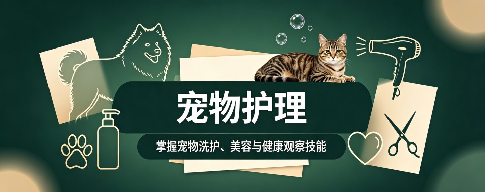 上海师资雄厚临床经验足的宠物护理培训机构推荐一览