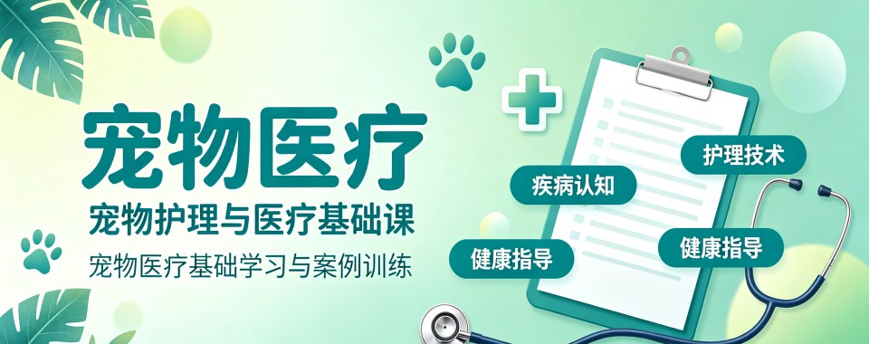 杭州市宠物医疗培训机构哪家强?全方位测评揭秘