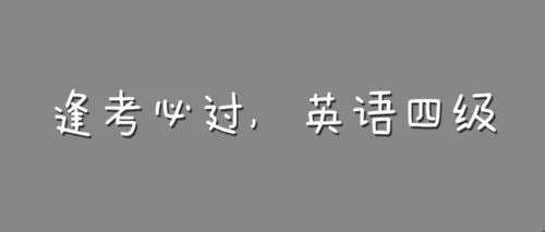 国内十大受欢迎的英语四级线下培训班名单榜一览