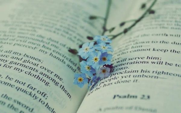 国内比较好的考研培训机构排名榜今日出炉