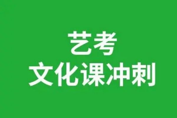 江苏评价不错的艺考生文化课辅导机构榜首一览