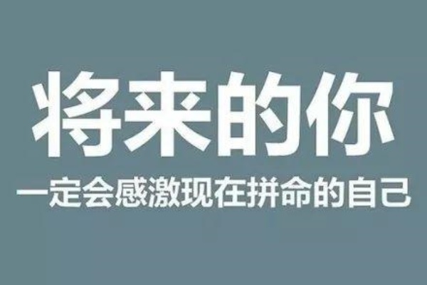 国内实力出色的考研培训机构榜单排行一览表