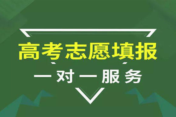 精选国内四大高考志愿规划师证书考试培训机构排行榜一览