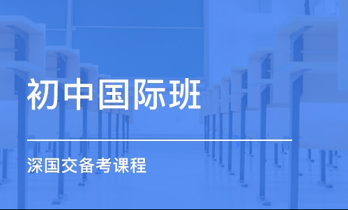 精选!南京栖霞区国际初中备考辅导机构排名(哪些比较好)