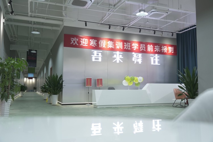 成都吾来舞往艺考培训学校