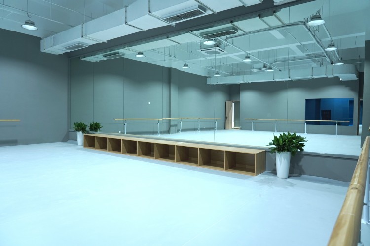 成都吾来舞往艺考培训学校