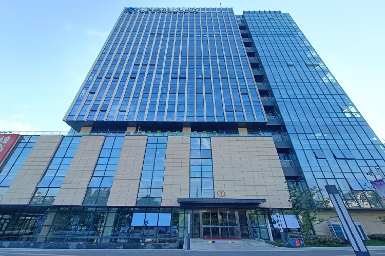 南京环球青藤考研