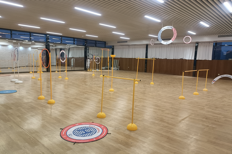 泰拉无人机环境