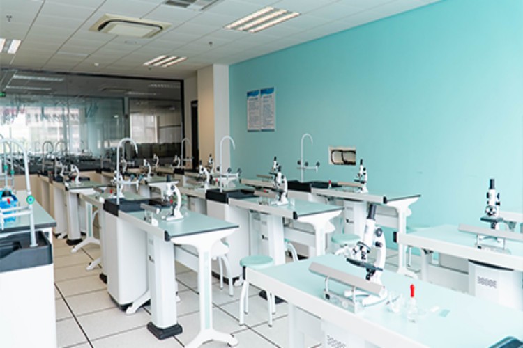 深圳紫荆福华DSE校区环境