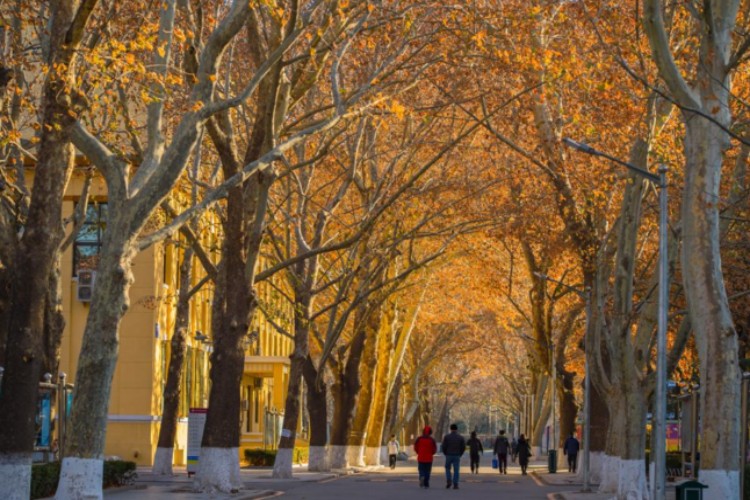  北京语言大学校区环境