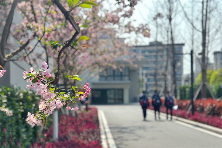 重庆巴南育才实验中学校校区环境