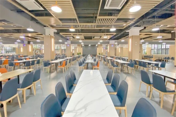 重庆巴南育才实验中学校校区环境