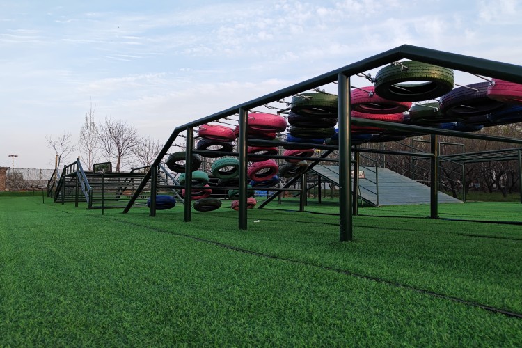 河南菱森教育环境图