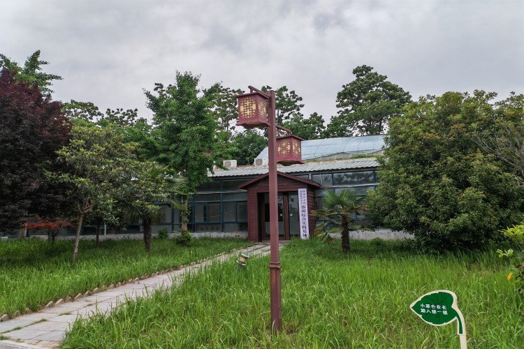 河南菱森教育环境图