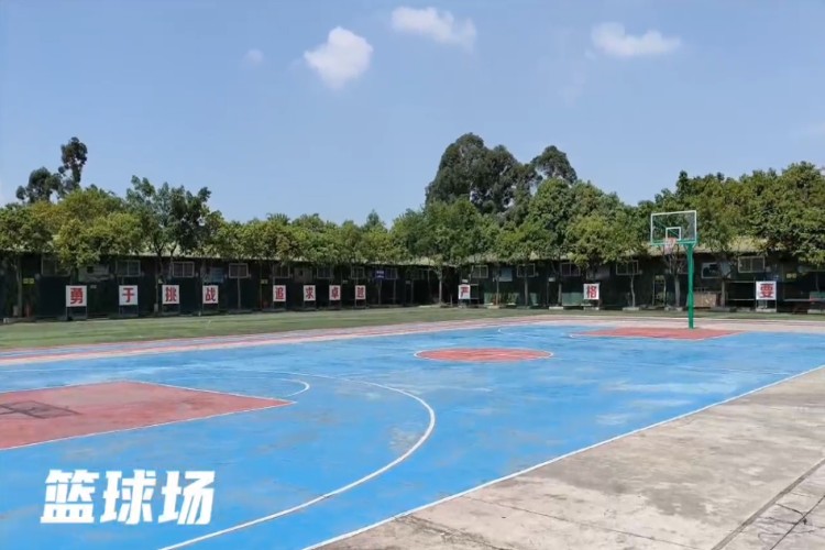 成都翔龙青禾素质教育