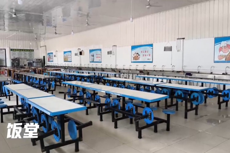 成都翔龙青禾素质教育