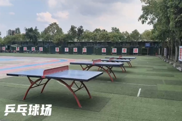 成都翔龙青禾素质教育