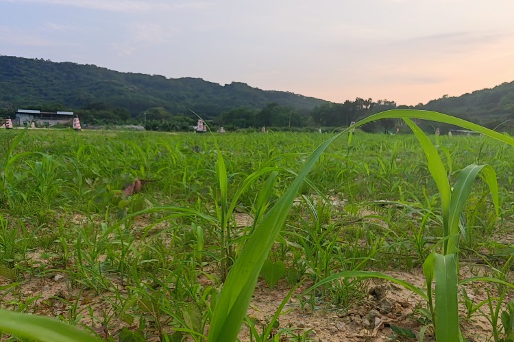 深圳鹏翼飞行无人机校区环境