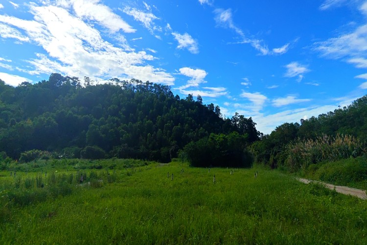 深圳鹏翼飞行无人机校区环境