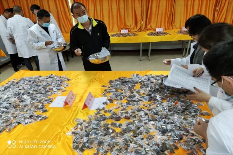 陕西慈海中医教育