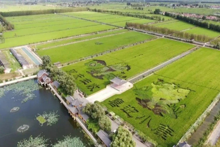 天津中翼翱翔无人机环境图