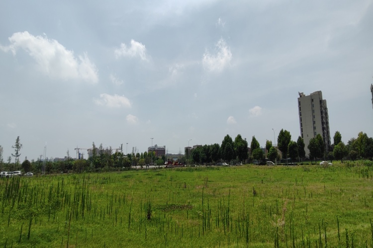 能飞无人机学院长沙校区