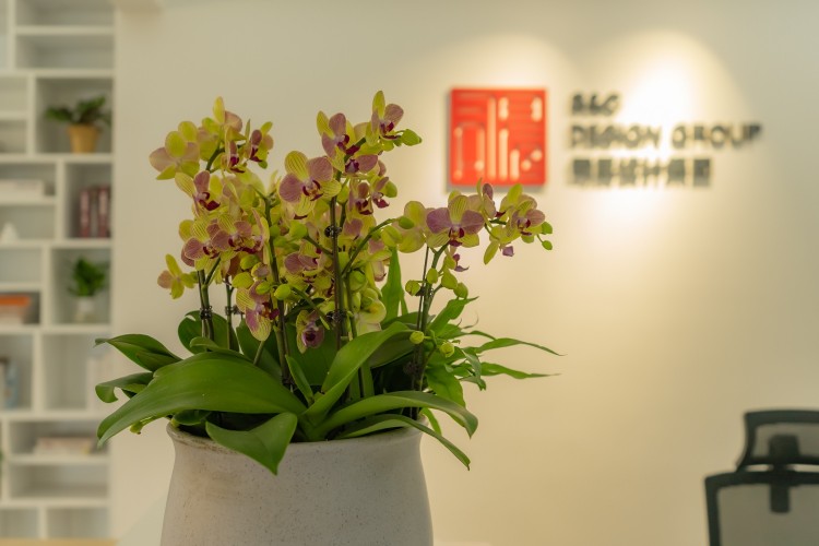 杭州司晨教育环境图