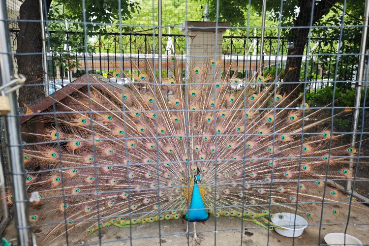 无锡麦田特殊儿童康复中心