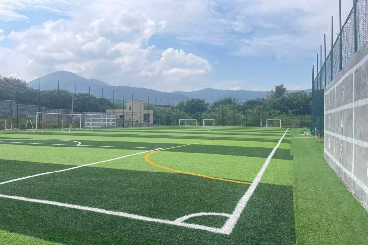 广东战龙青少年素质教育环境图