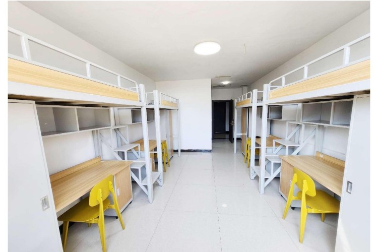 辽宁单招考试培训基地