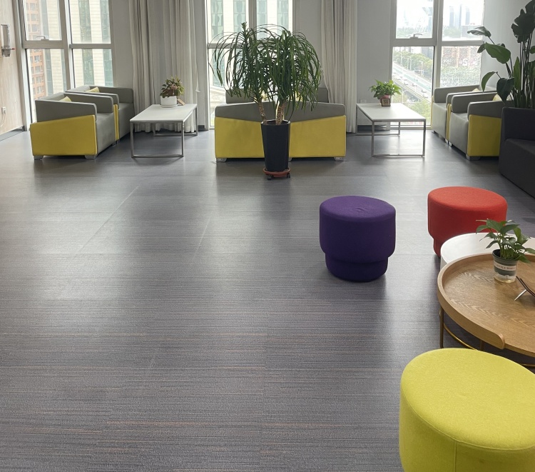 河北佳鑫诺专升本