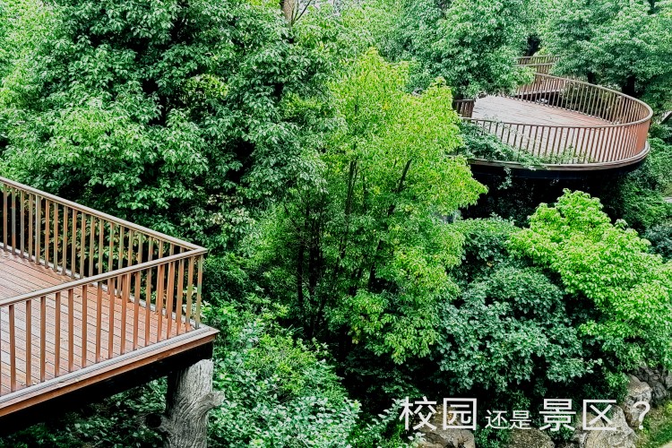 河南新文道考研校区地址