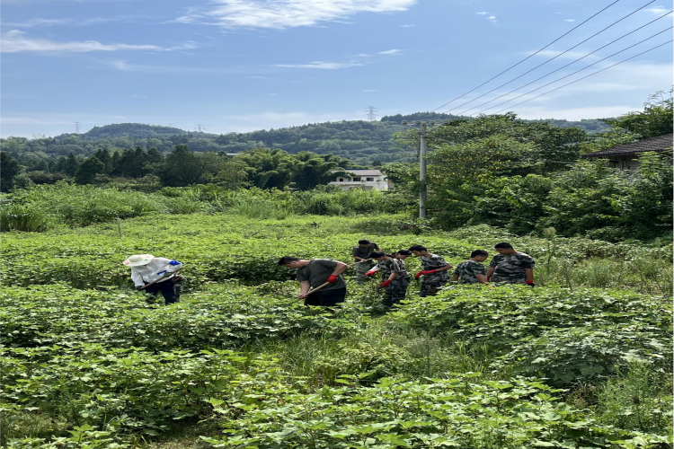 南充启迪教育行为素质拓展基地