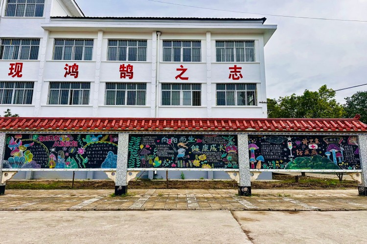 陕西沁元博素质教育环境图