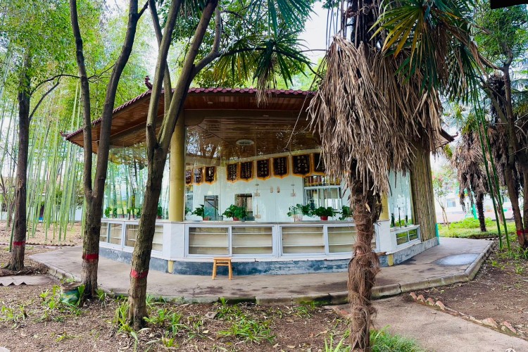 陕西沁元博素质教育环境图