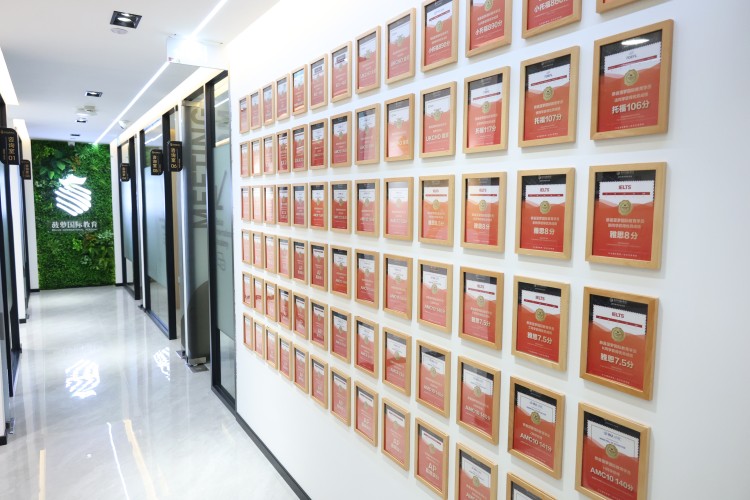 上海菠萝国际教育环境图