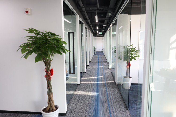 上海菠萝国际教育环境图