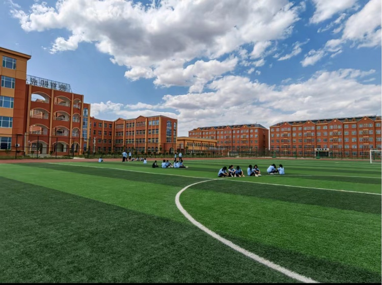 山东环帝祥龙素质教育