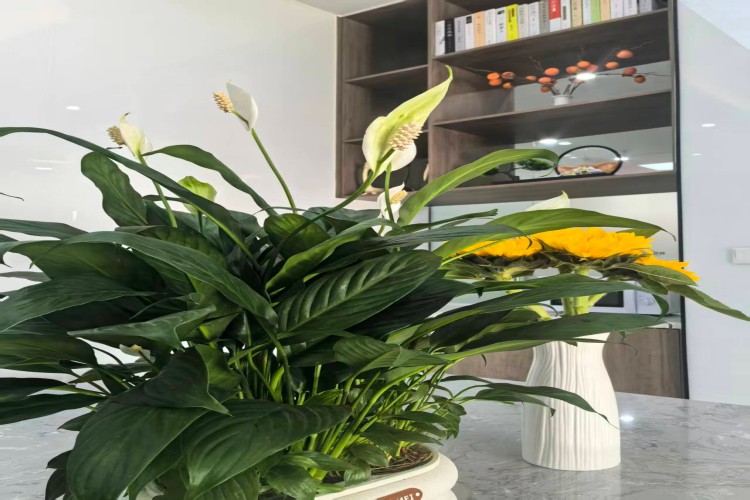 成都学大教育校区环境图