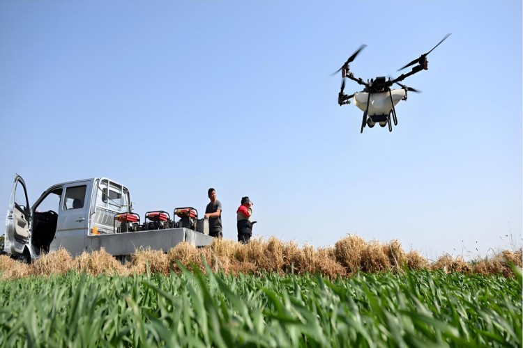 日照风向标无人机校区环境图