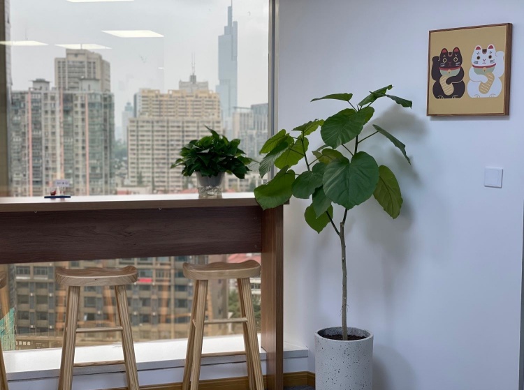 南京令和日语校区环境图片