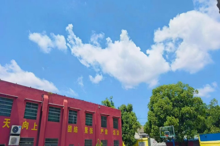 湖南亲情教育学校校区环境图