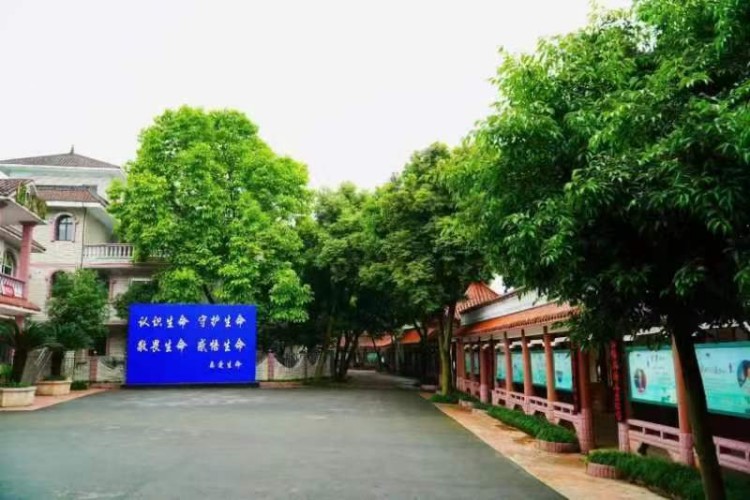 重庆心之初教育环境图