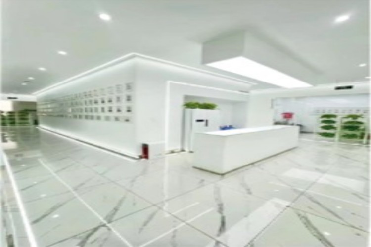 河北领悟艺考环境图