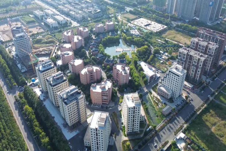 洛阳臻优自动化