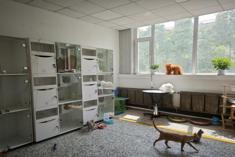 长春博仁中等职业学校校区环境图