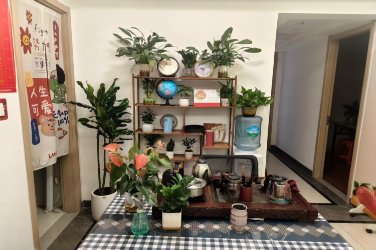 南宁兴桂学堂环境图