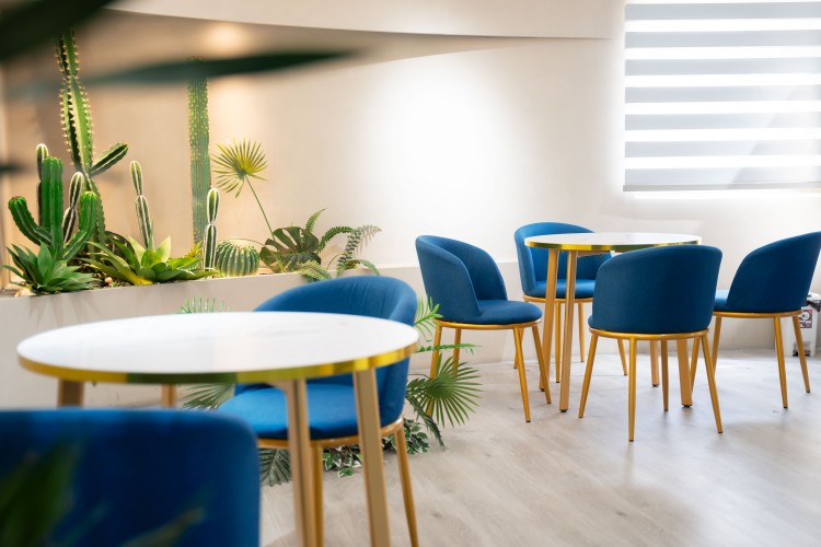 义乌重德艺术培训