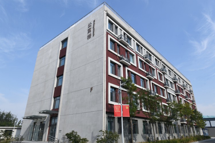 山东中德莱茵职业培训学校校区环境图片